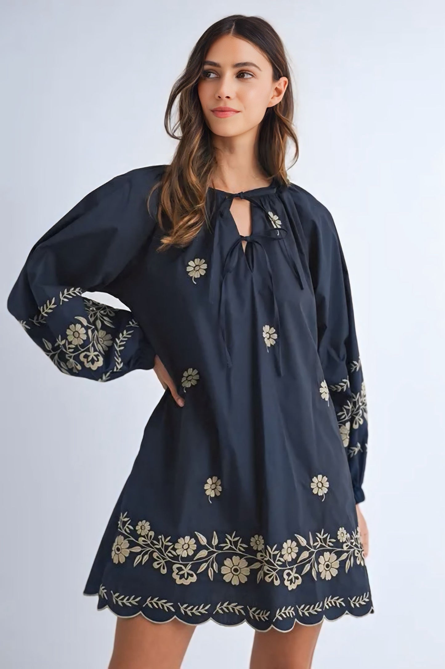 Embroidered Long Sleeve Peasant Mini Dress