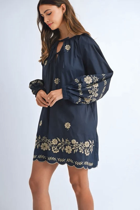 Embroidered Long Sleeve Peasant Mini Dress